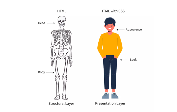 html و css